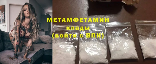 прущие грибы Богданович