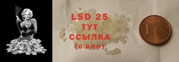 spice Богородицк