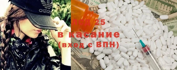 spice Богородицк