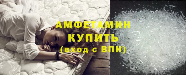 spice Богородицк