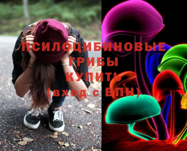 прущие грибы Богданович