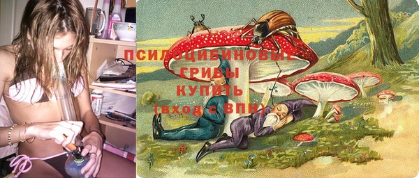 spice Богородицк