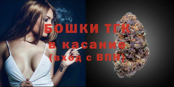 spice Богородицк