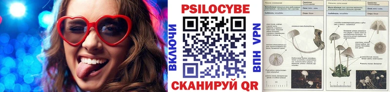 Псилоцибиновые грибы GOLDEN TEACHER  сколько стоит  Тихвин 